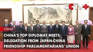 China's Top Diplomat Meets Delegation from Japan-China Friendship Parliamentarians' Union