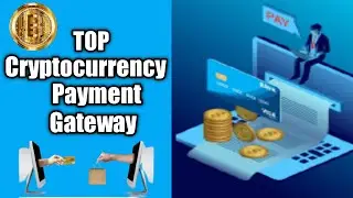 Top Cryptocurrency Payment Gateway - Top Channels For Accepting Cryptocurrency Payment