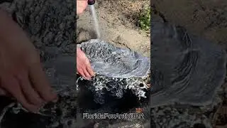 Casting A Fire Ant Colony- Shorts #11- Invasive Species (Common Practice) 