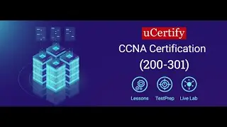 Cisco Certified Network Associate Certification Course and Lab