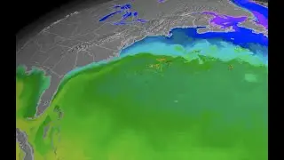 Ocean Shutdown is Accelerating, Space Dust | S0 News Sep.20.2020