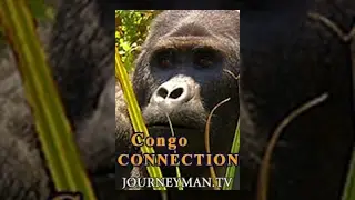 Congo Connection