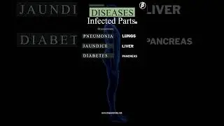 Diseases and Infected Organs | NEET | Biology  #neet #shorts