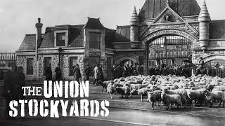 The Union Stockyards — A Chicago Stories Documentary