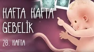 Hafta Hafta Gebelik 28. hafta