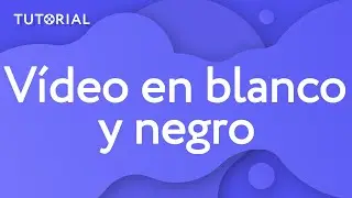 ¿Cómo hacer un vídeo en blanco y negro? | Movavi Tutorial