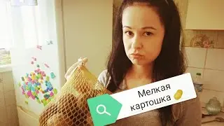 #VINE МЕЛКАЯ КАРТОШКА 🥔...ЖЕНА ОБИДЕЛАСЬ 😱