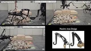 PACC: A Passive-Arm Approach for High-Payload Collaborative Carrying with Quadruped Robots using MPC