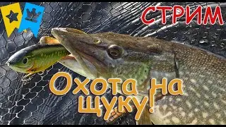 Охота на щуку! Путь к 70-ой звезде! Русская Рыбалка 4