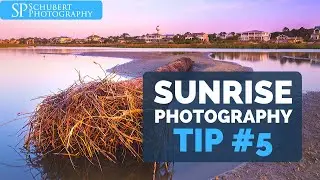 Sunrise Photography Tip #5: Be Ready For Unexpected Nature Shots