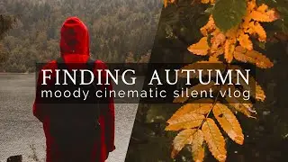 finding Autumn | moody cinematic short film | Fujifilm X-T3 & Canon EOS M50