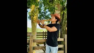 Live Flute Music