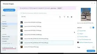 Wix Storage Limit - Optimizing Media Library Wish List
