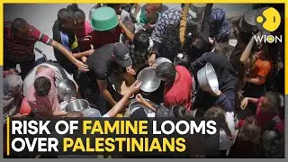 Israel-Hamas war | Half a million suffering catastrophic hunger in Gaza, UN report says | WION