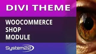 Divi Theme WooCommerce Shop Module