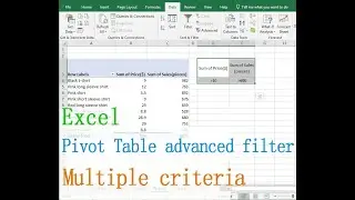 Excel Pivot Table advanced filter (Contains multiple words and Multiple criteria in formula)