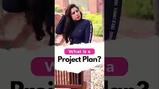 What is a Project Plan? 