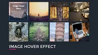 Image Hover Effect 1 | HTML CSS