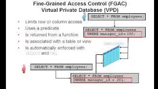 Using Virtual Private Database with Oracle Database 12c