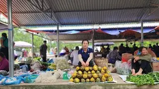 Daily life - Harvest and sell melons. cut grass to feed the fish | Ly Thi Ba