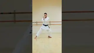 SHOTOKAN KARATE BLACK BELT (LEVEL 100) 🥋🔥