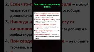 Эти простые советы спасут жизнь