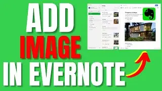 How to Add Image Evernote (2024)