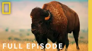 Badlands (Full Episode) | America's National Parks