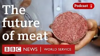 Lab-grown meat: Why are countries banning it? - The Global Story podcast, BBC World Service