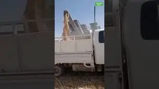 Кыргызстан Лейлек Раззаков Шаары #Жанылыктары #automobile #beautiful #whatsappstatus