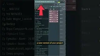 Why 2 versions of same project on FL Studio ? 🤔 