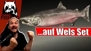 Russian Fishing 4 - Jama - Königslachs auf WelsSet