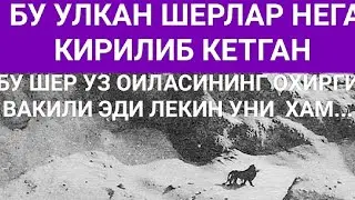 Энг Улкан ва Кирилиб Кетган Шерлар/Хайвонлар Хакида 