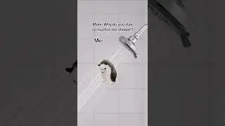 Me In The Shower Meme (Hedgehog Meme)