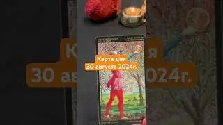 Карта дня 30 августа 2024г. #картадня #душевноетаро  #tarotcards