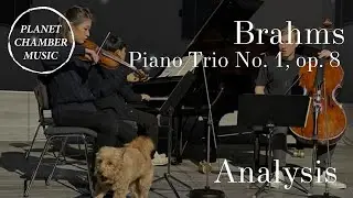 Analysis Brahms: Piano Trio No. 1 in B Major, op. 8 / Lee / Roozeman, Sunwoo