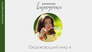 Человеческие расы | Окружающий мир 4 класс #32 | Инфоурок