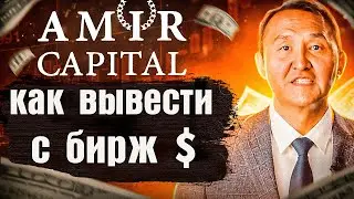 Amir Capital как вывести средства 03/03/23