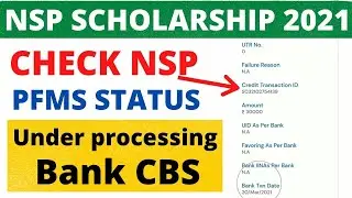 Check NSP PFMS status 2021 | PFMS no record found | Application send to PFMS 2021