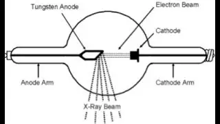 How Dose X-ray Work ? (كيف تعمل الأشعة السينية)