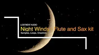 Flute and Sax Kit “Night Winds” (200+ Samples) by Lostbeat Audio