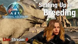 Ark Survival Ascended |Setting up for our Breeding | Livestream Ep8