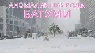 Аномалия природы в Батуми. Снегопад в Батуми 24 февраля.
