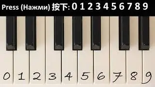 YOUTUBE Piano (Try It With Your Computer Keyboard)