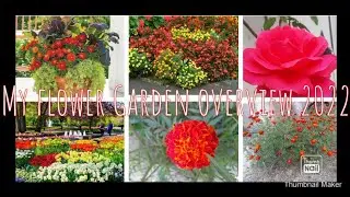 My Flower Garden overview 2022,Winter garden,Top winter flower plants.Best collection of flower