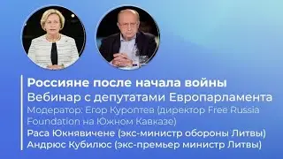 Россияне после начала войны России против Украины. Встреча с депутатами Европарламента.