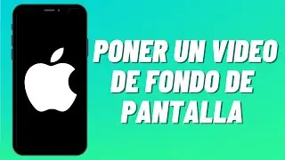 Cómo Poner un Video de Fondo de Pantalla en iPhone