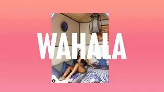 FREE [ NO TAGS ] Afro Beat x Dancehall Instrumental (Wahala) 2024