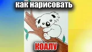 как нарисовать КОАЛУ на дереве