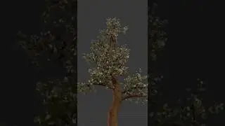 Draw trees in Blender! Watch the Full tutorial! 